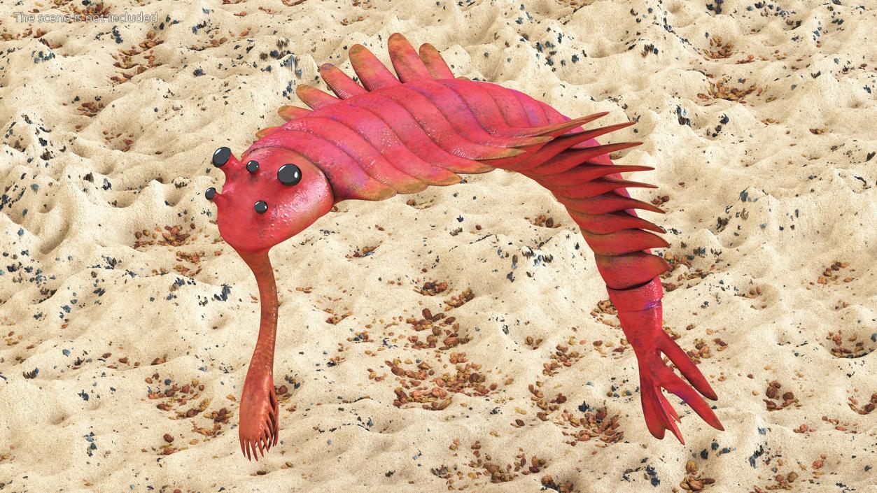 3D Pink Opabinia Flip model