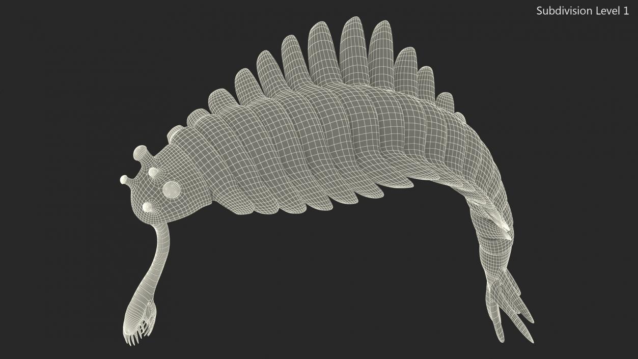 3D Pink Opabinia Flip model