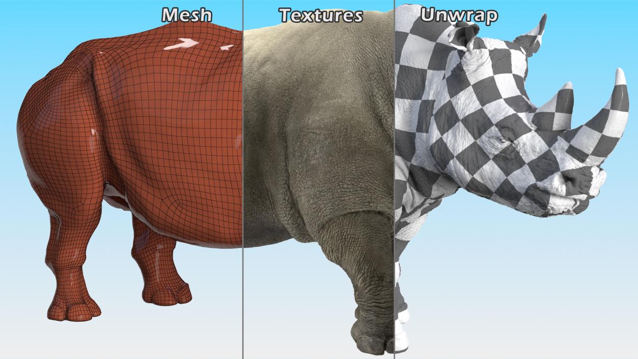 Rhino Rigged 3D