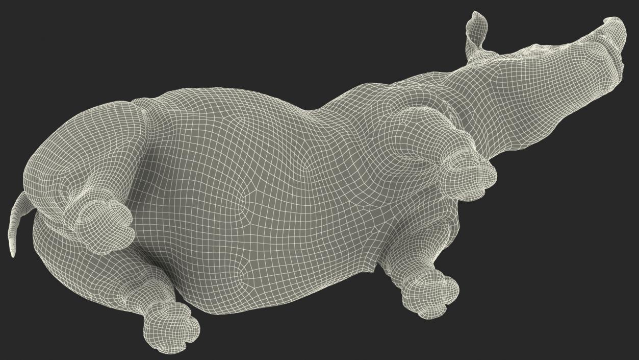 Rhino Rigged 3D