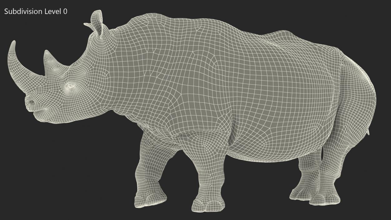 Rhino Rigged 3D