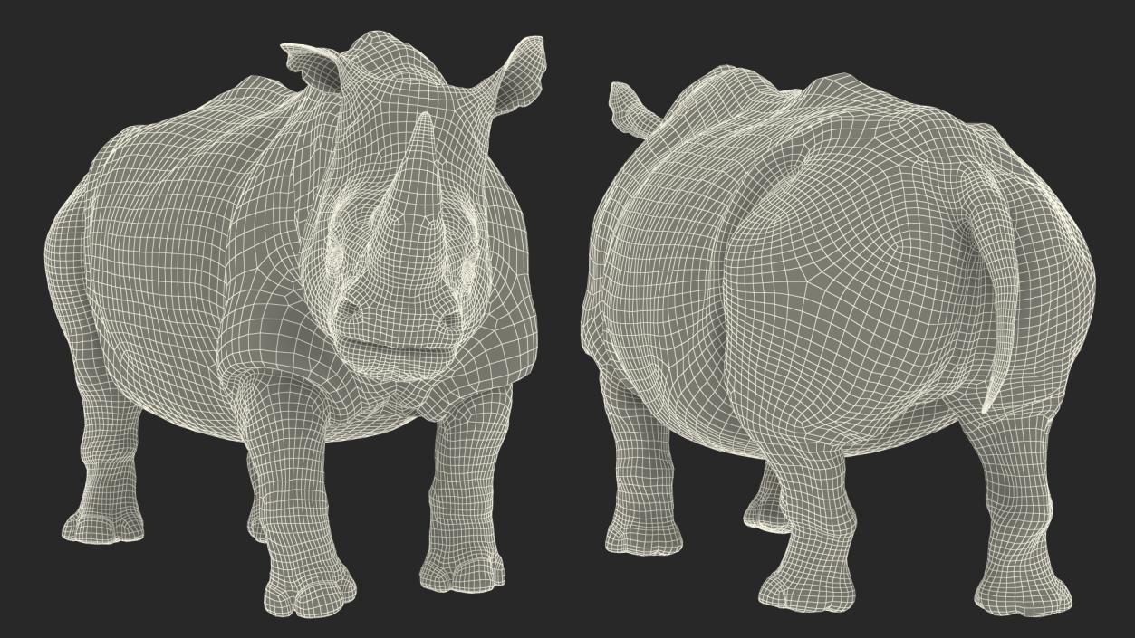 Rhino Rigged 3D