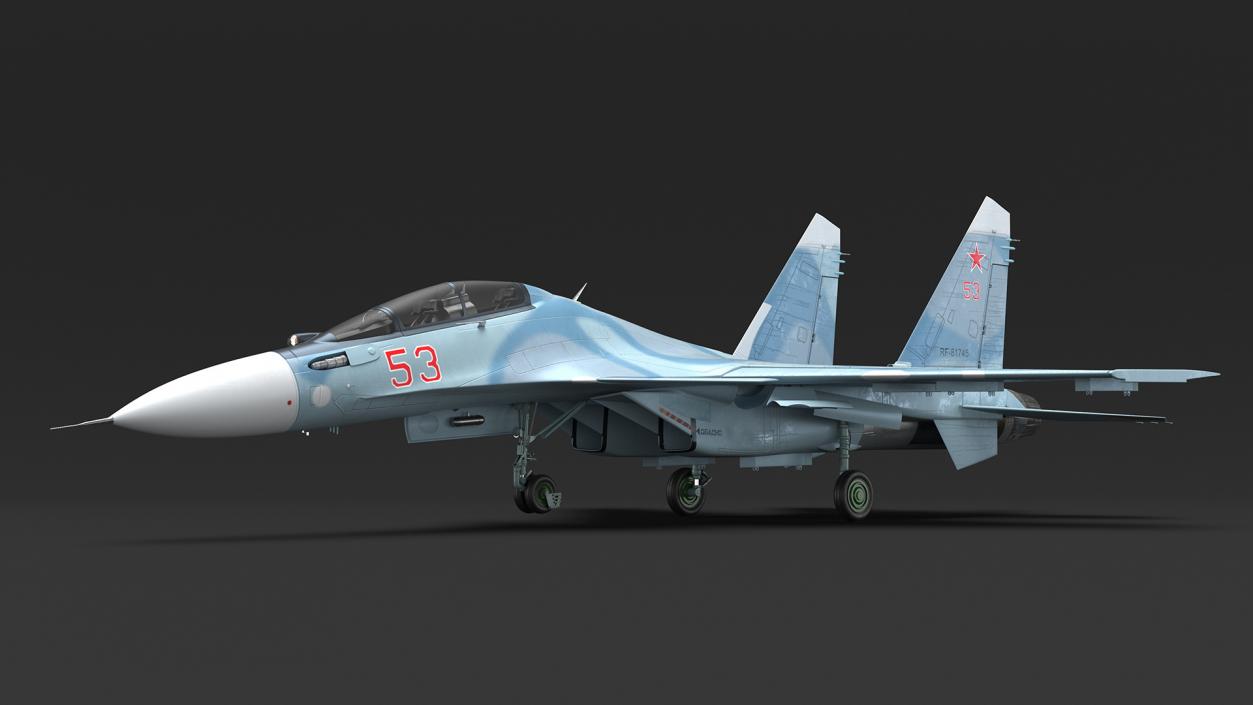 3D Su-30 Fighter model