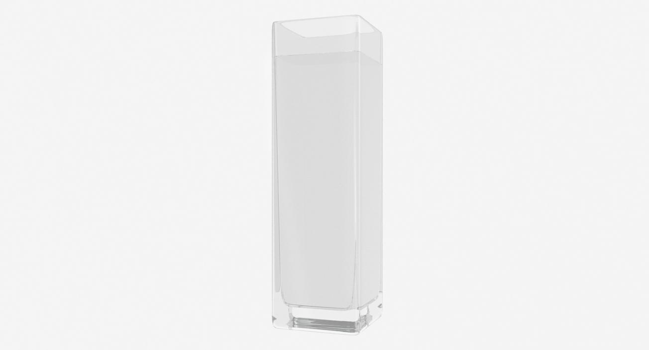 3D Square Glass Vase with Water model