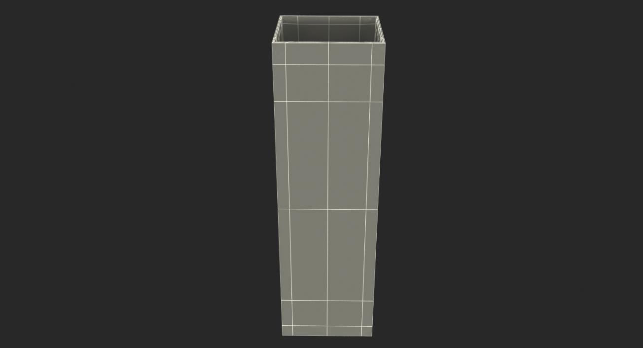 3D Square Glass Vase with Water model