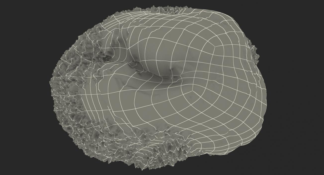 3D model Green Pistachio Seed