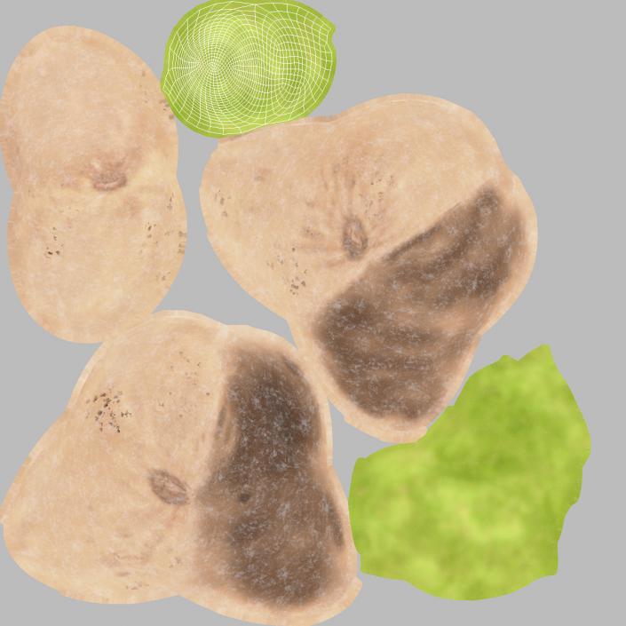 3D model Green Pistachio Seed