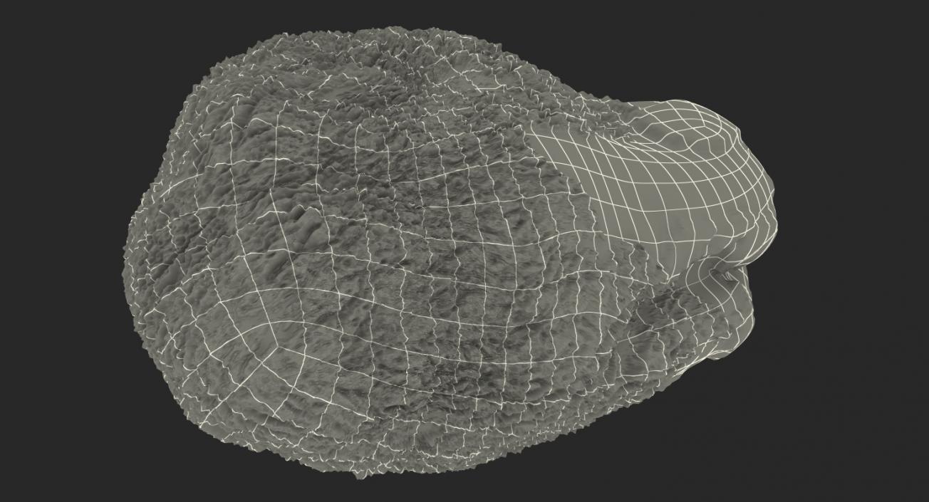 3D model Green Pistachio Seed