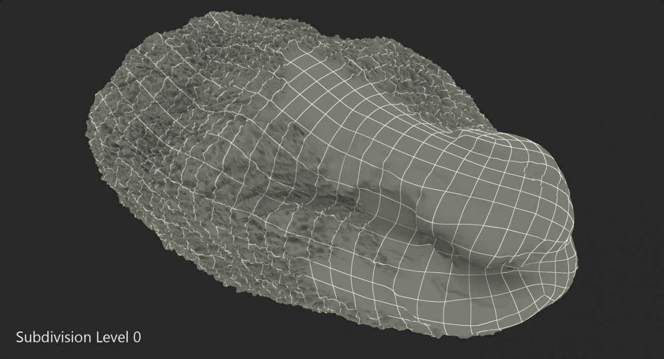 3D model Green Pistachio Seed