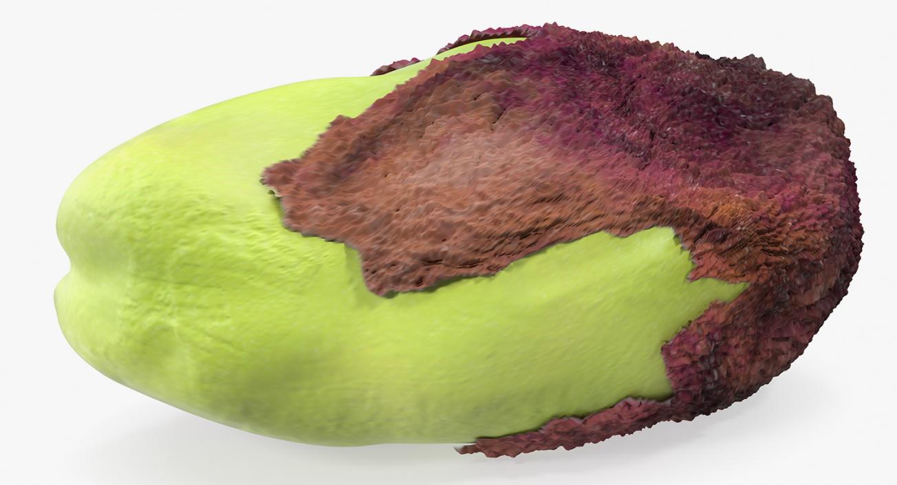 3D model Green Pistachio Seed