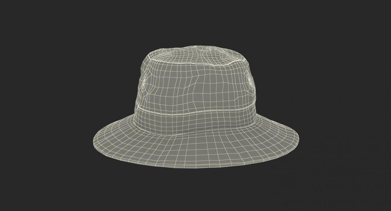 Hats 3D Models Collection 2 3D