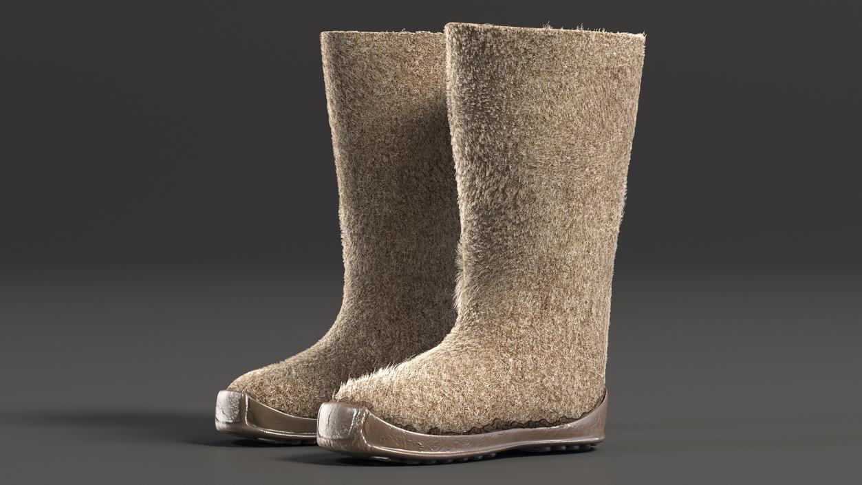 3D model Warm Felt Boots Fur Collection