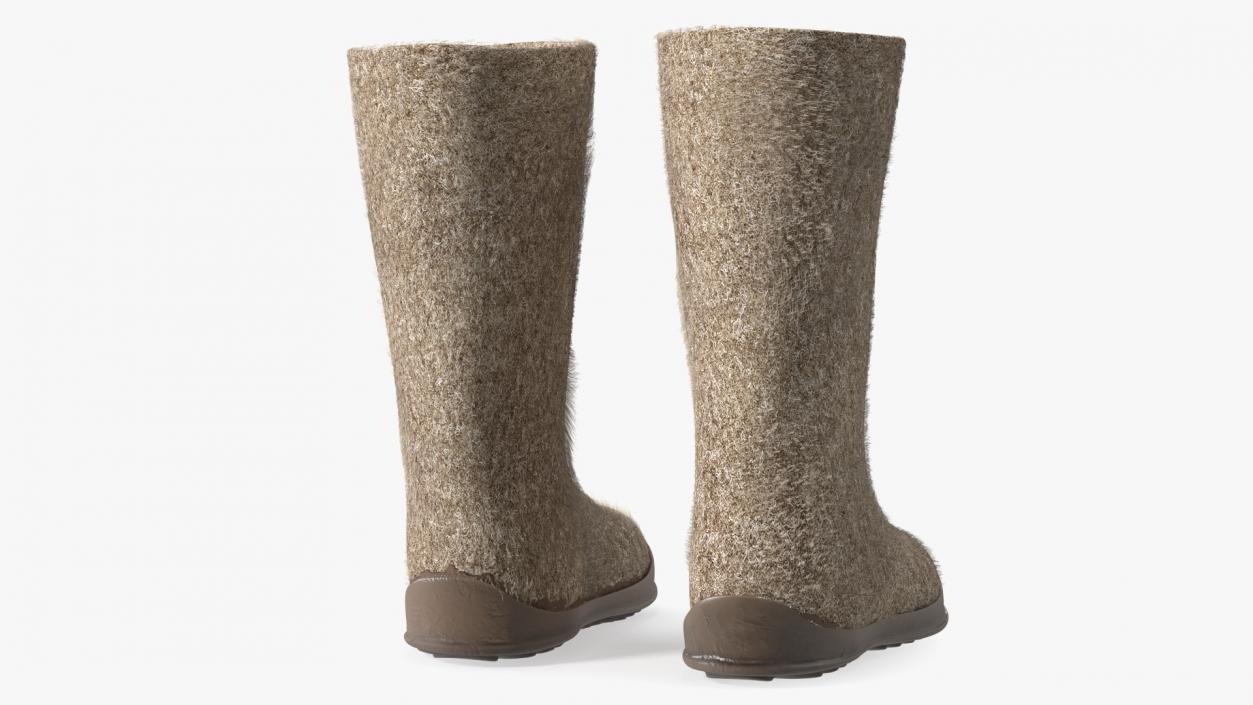 3D model Warm Felt Boots Fur Collection