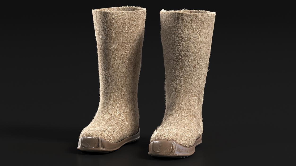 3D model Warm Felt Boots Fur Collection