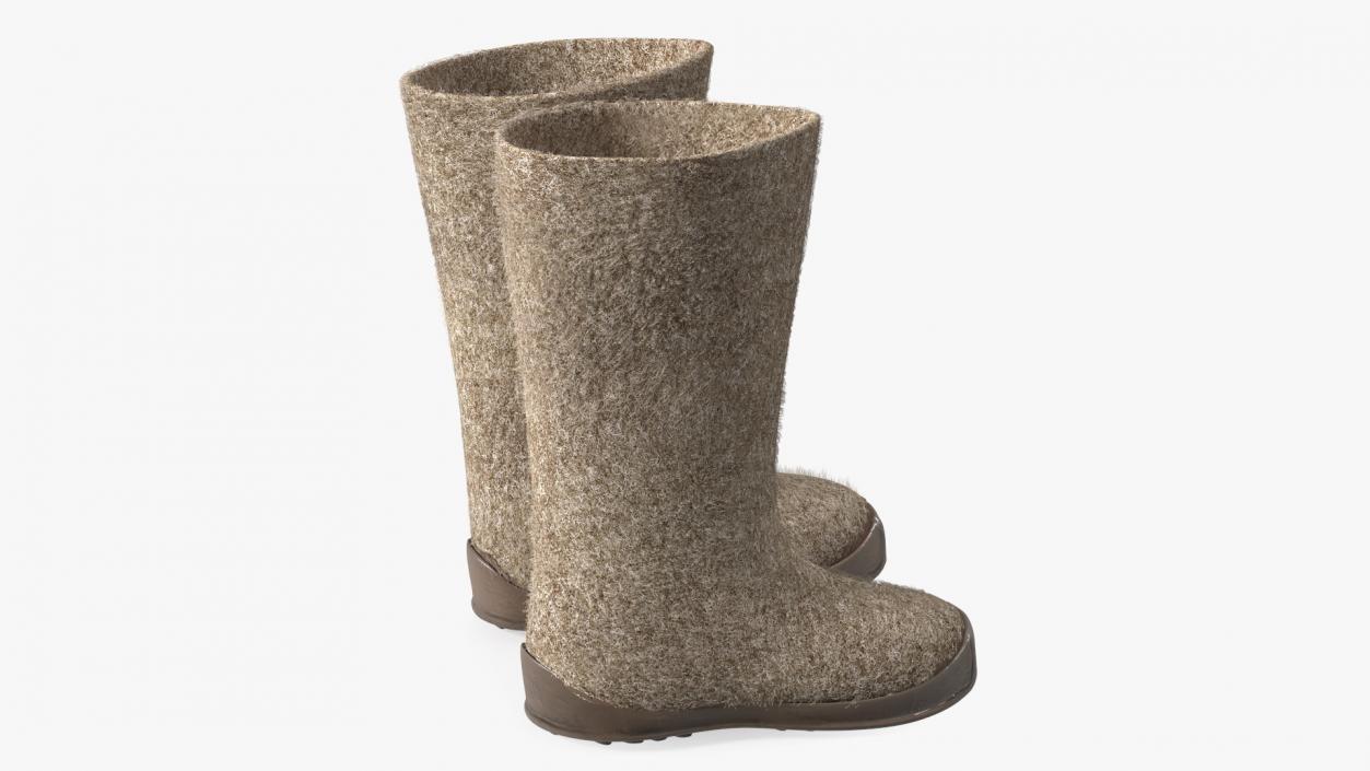 3D model Warm Felt Boots Fur Collection