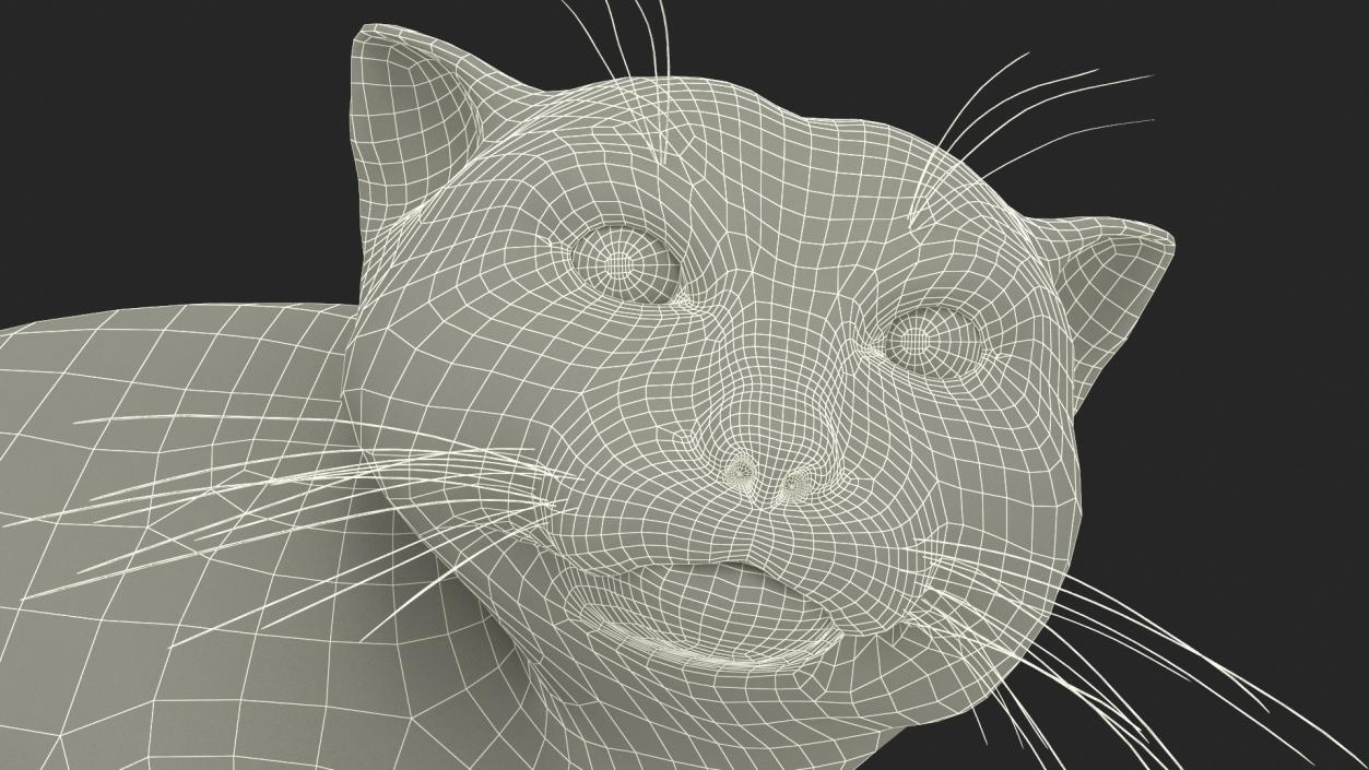 3D model Manul Cat in Sitting