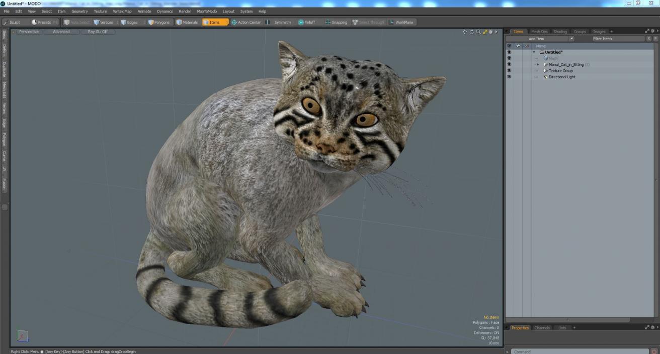 3D model Manul Cat in Sitting