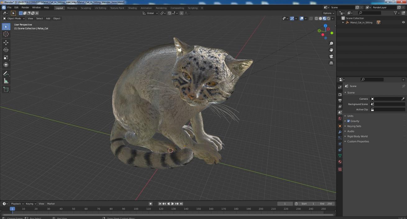 3D model Manul Cat in Sitting