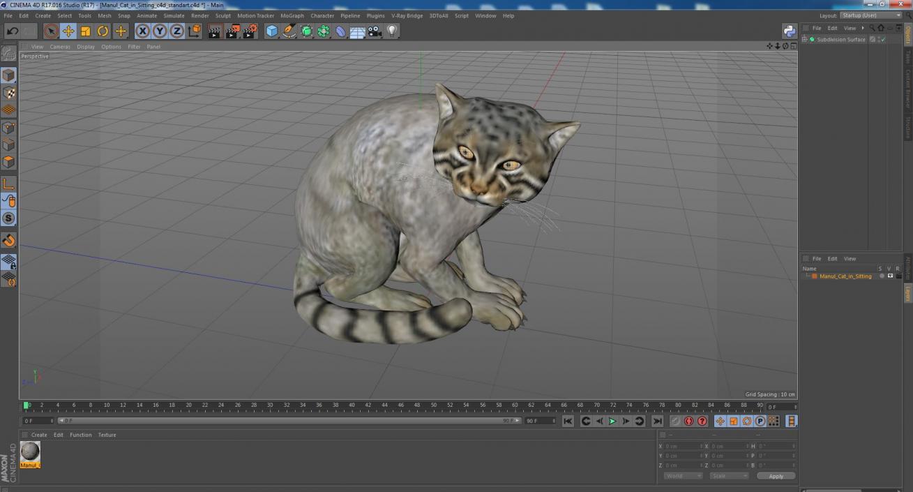 3D model Manul Cat in Sitting