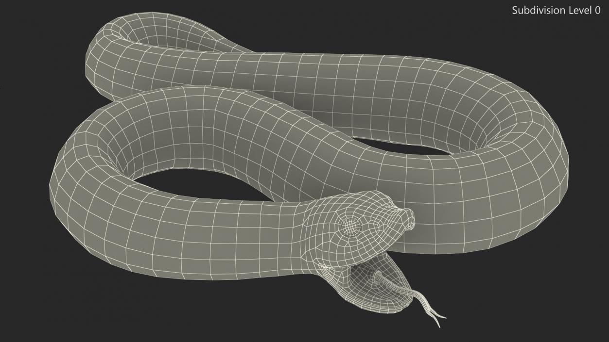 Red Hognose Snake Attack Pose 3D model