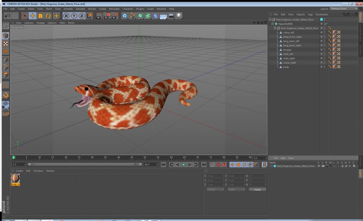 Red Hognose Snake Attack Pose 3D model