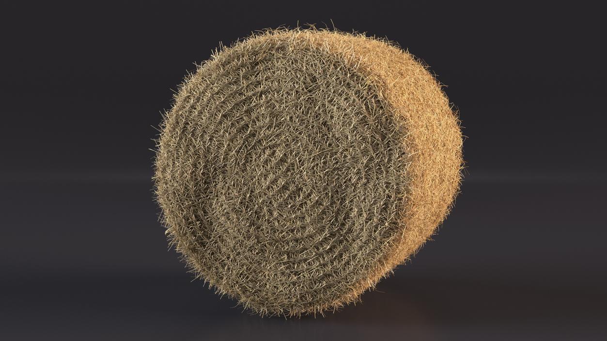 3D model Haystacks Collection