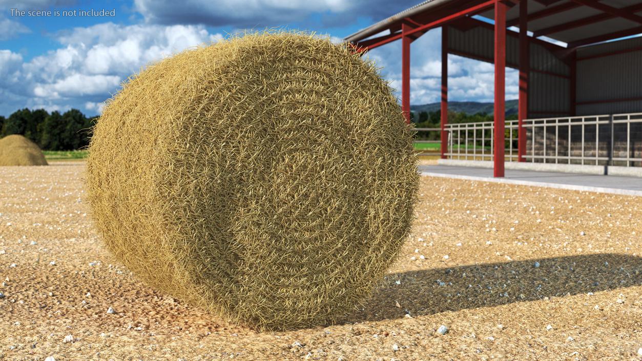 3D model Haystacks Collection