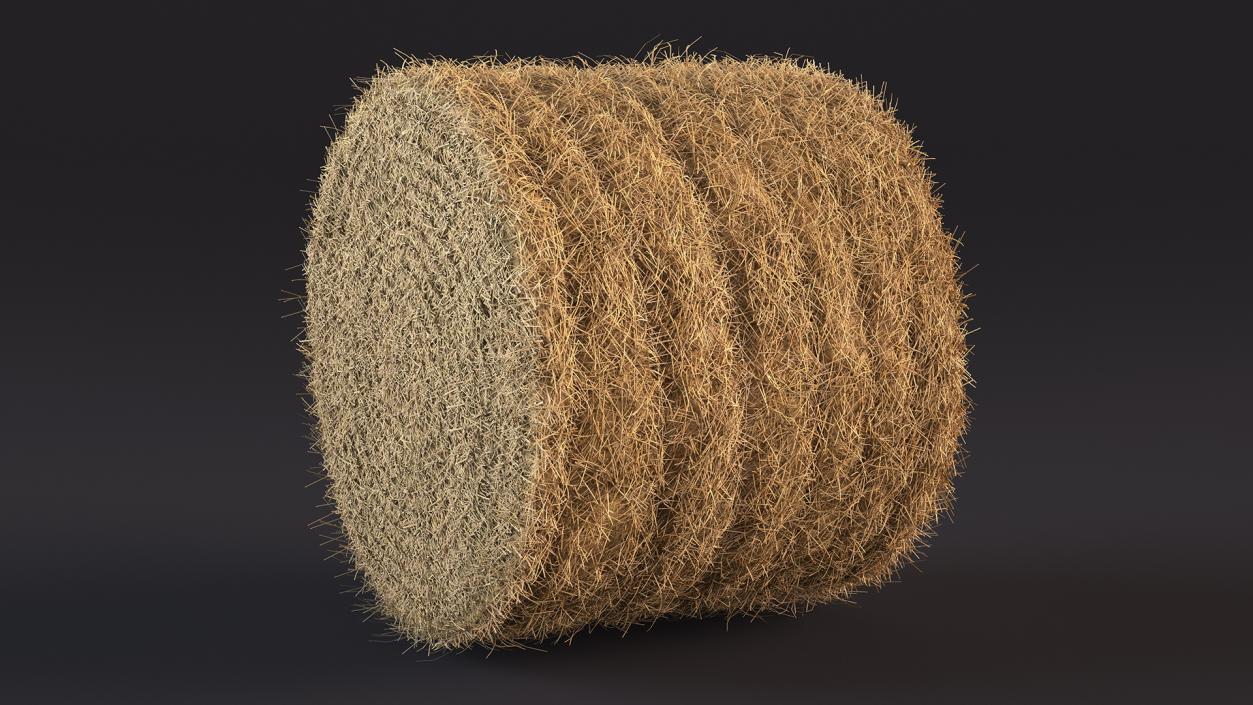 3D model Haystacks Collection