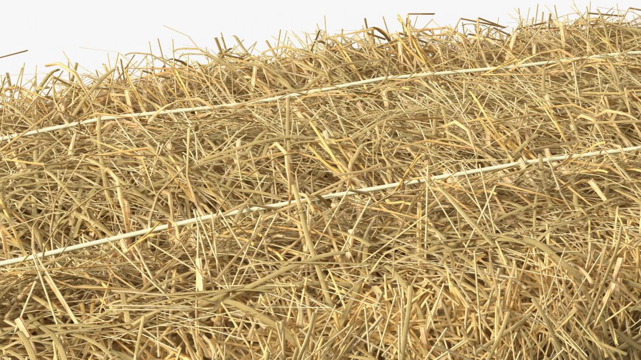 3D model Haystacks Collection