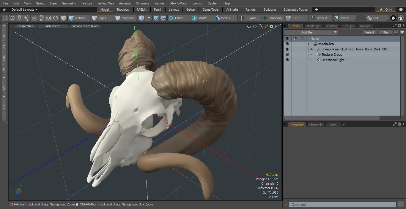 3D model Sheep Ram Skull with Nose Bone Dark