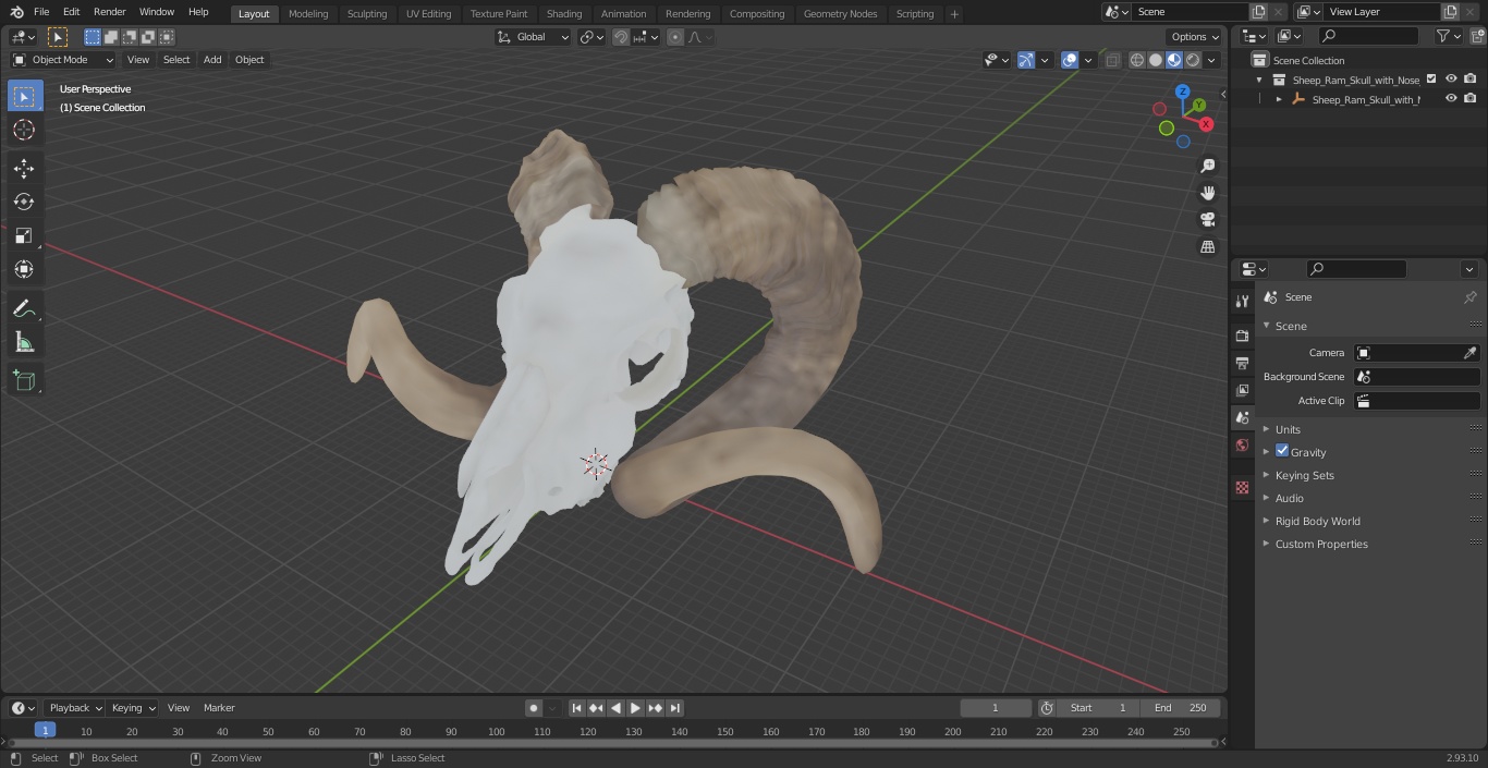 3D model Sheep Ram Skull with Nose Bone Dark