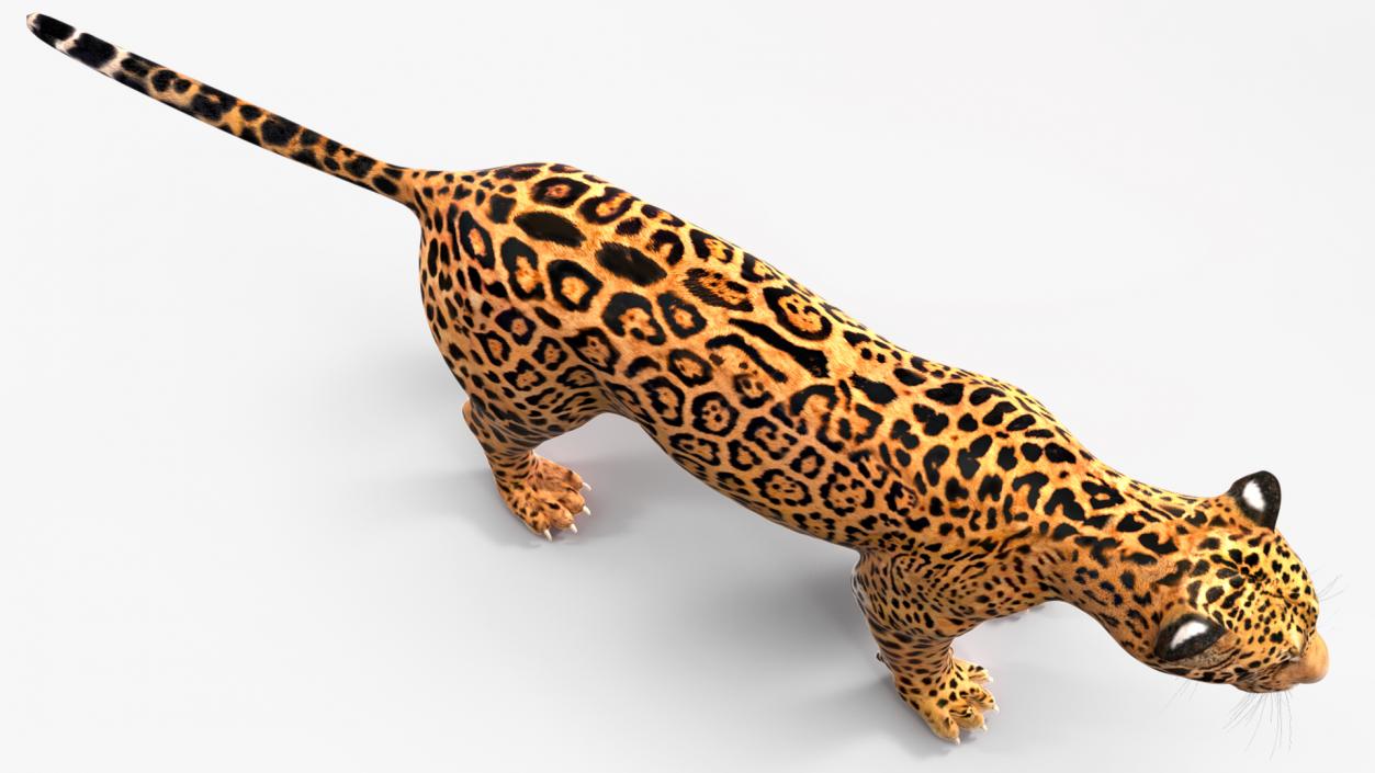 3D model Jaguar