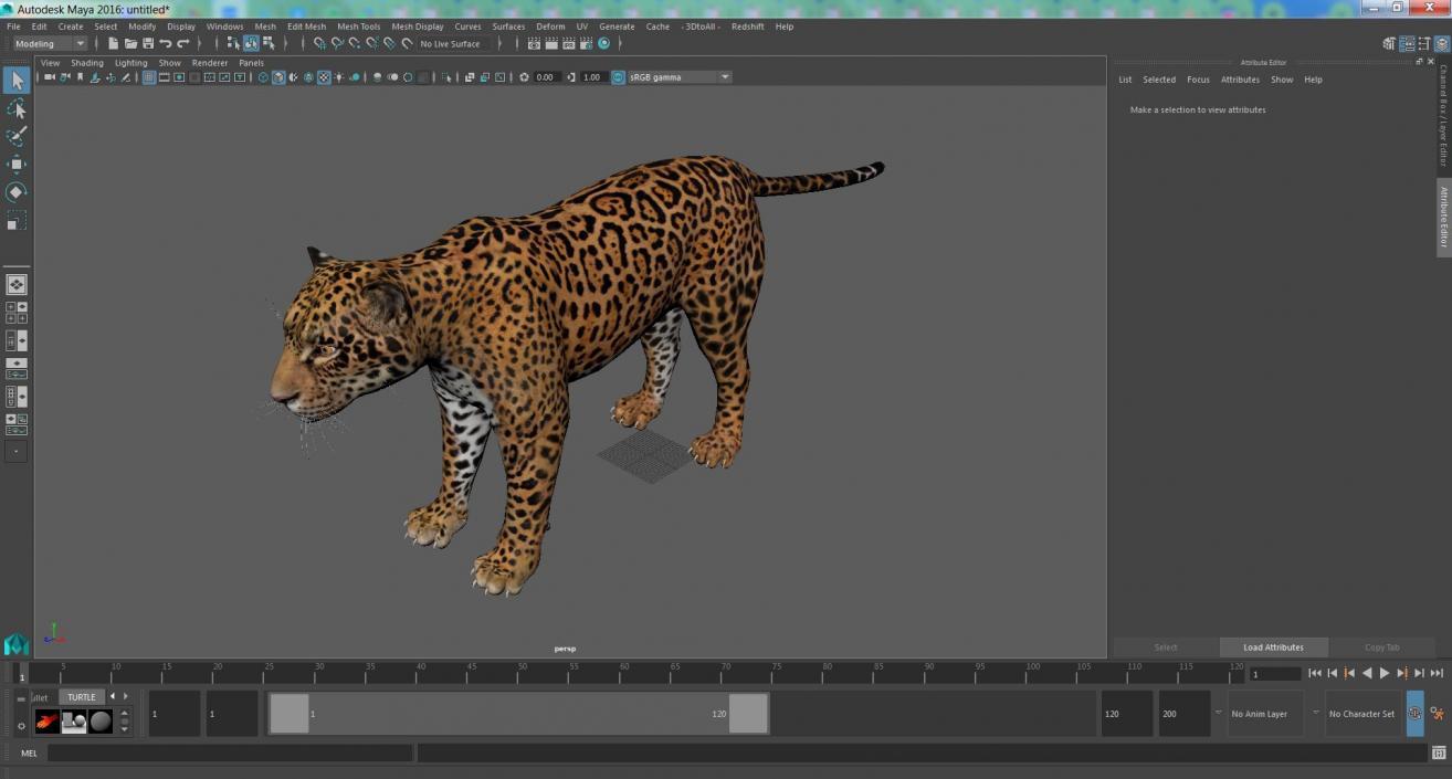 3D model Jaguar