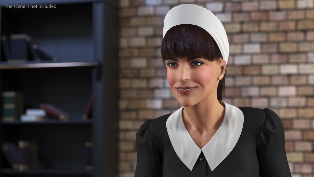 3D Rigged Housekeeping Maids Collection 2 model