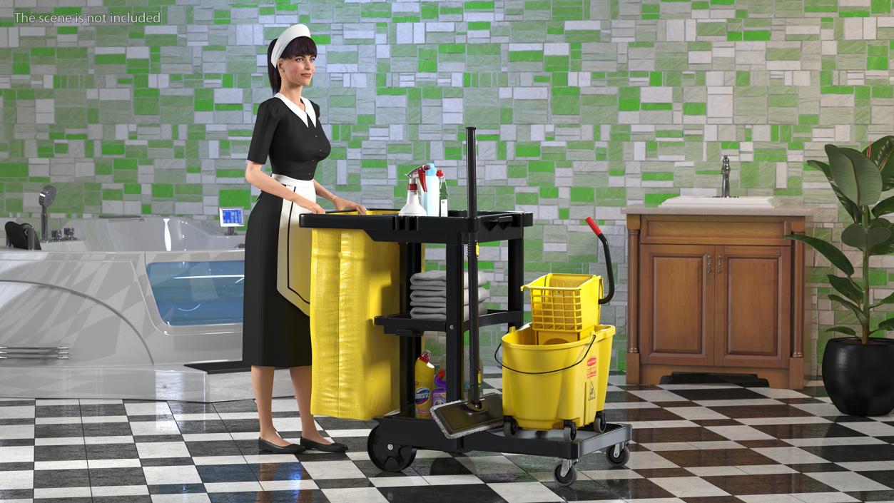 3D Rigged Housekeeping Maids Collection 2 model