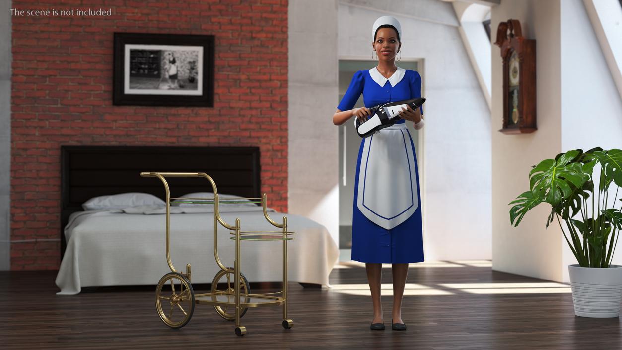 3D Rigged Housekeeping Maids Collection 2 model