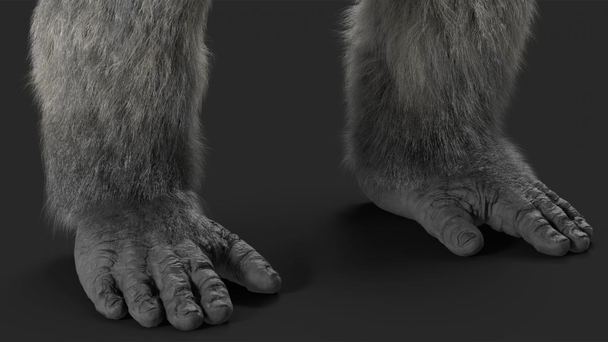 3D model Roaring Gorilla Fur Animated Rigged