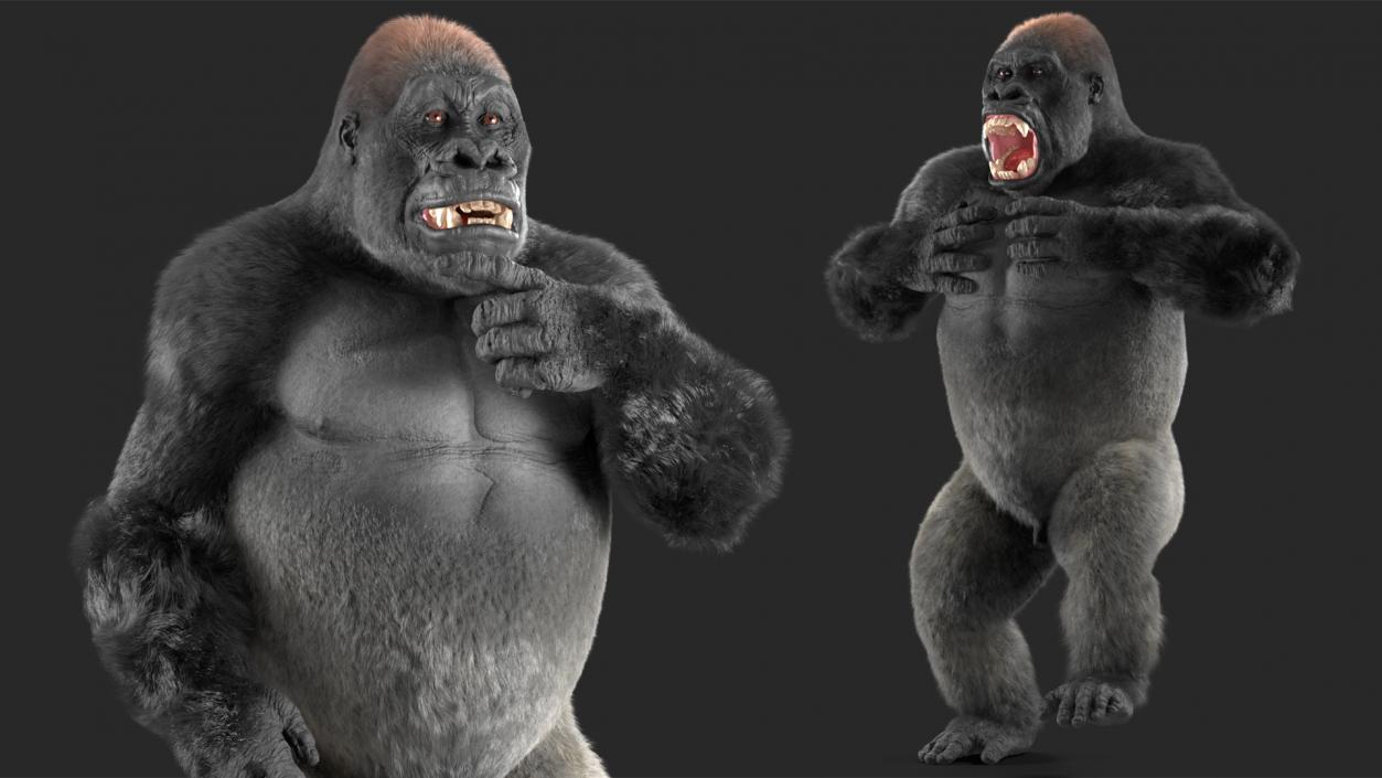 3D model Roaring Gorilla Fur Animated Rigged