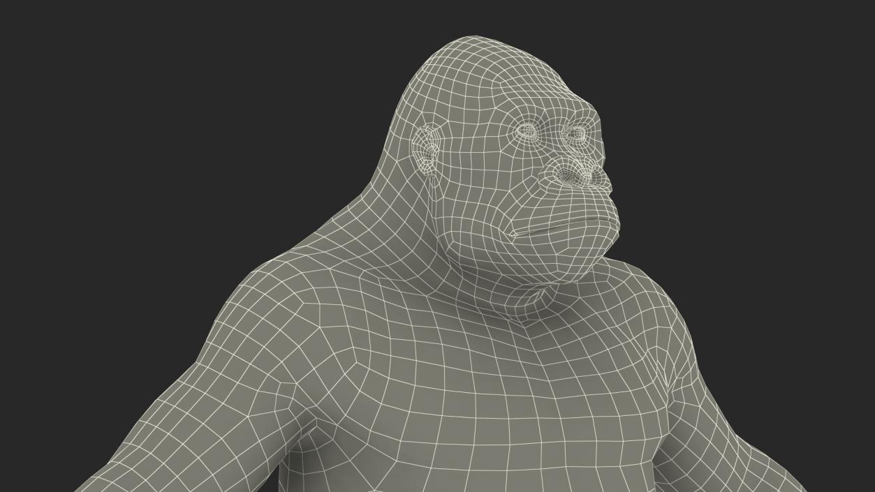 3D model Roaring Gorilla Fur Animated Rigged