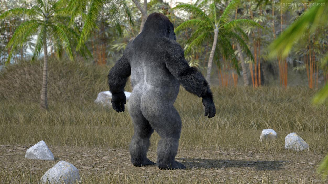 3D model Roaring Gorilla Fur Animated Rigged