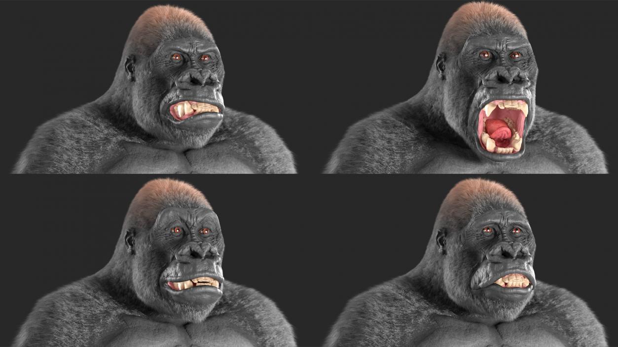 3D model Roaring Gorilla Fur Animated Rigged