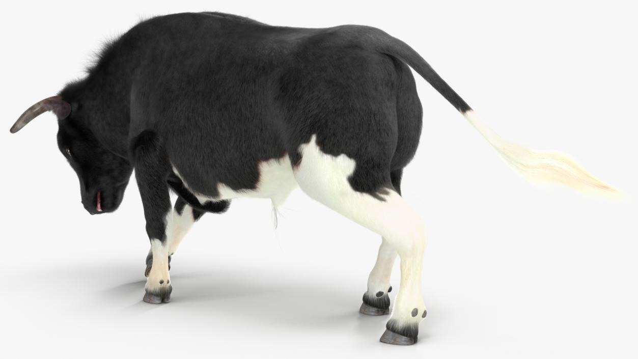 3D Black Bull Fur Rigged