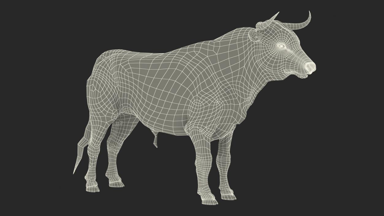 3D Black Bull Fur Rigged