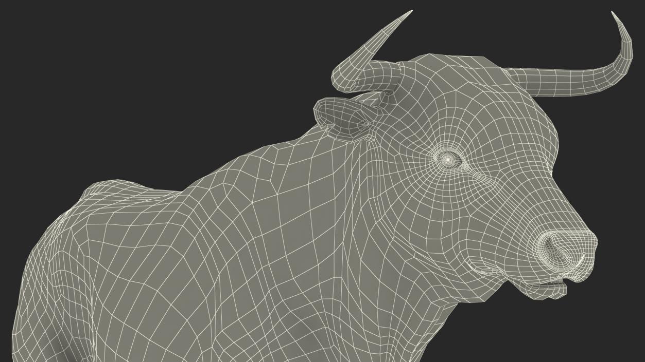 3D Black Bull Fur Rigged