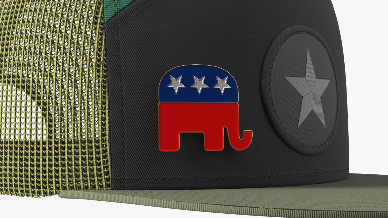 3D Camouflage Cap with Republican Badge