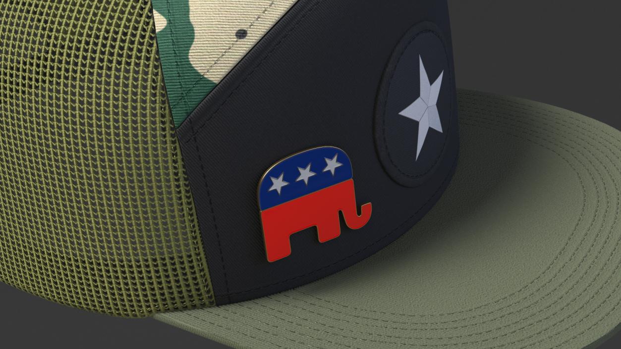 3D Camouflage Cap with Republican Badge