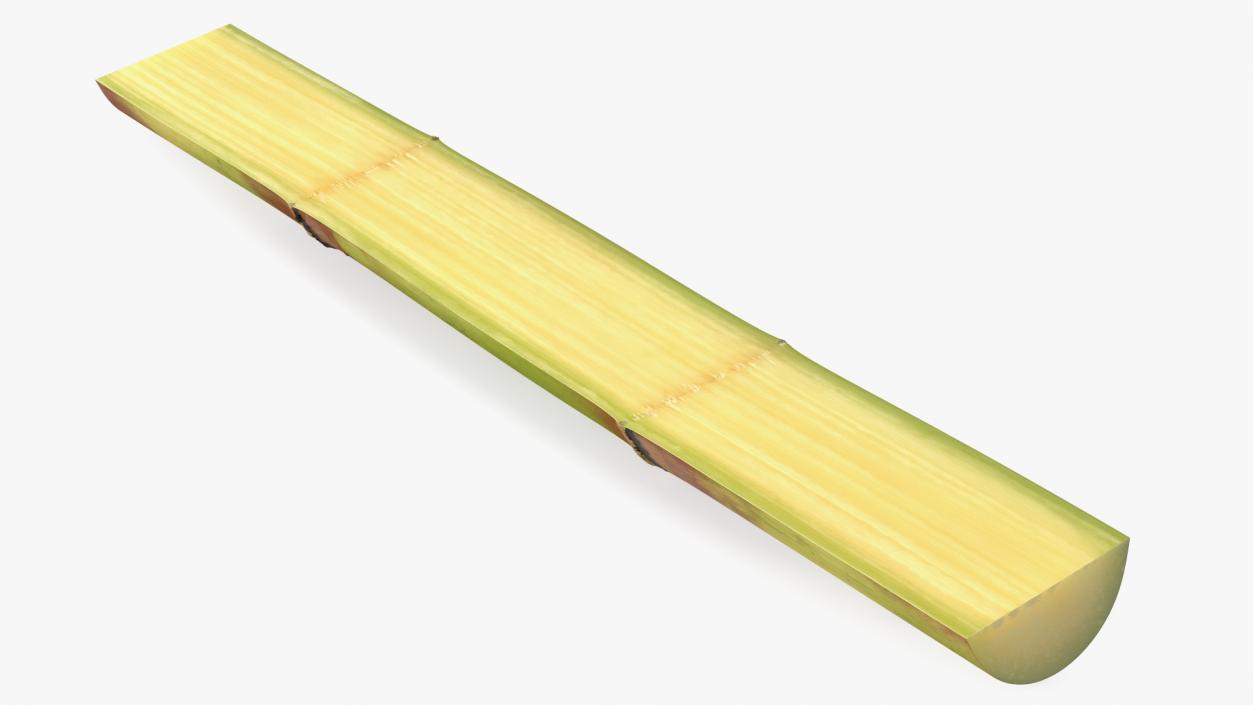 3D model Green Sugarcane Half Cut Piece