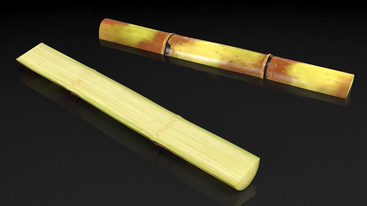 3D model Green Sugarcane Half Cut Piece