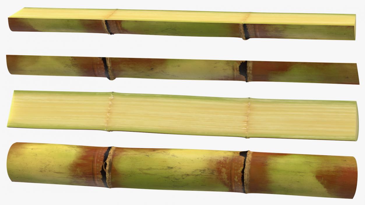 3D model Green Sugarcane Half Cut Piece