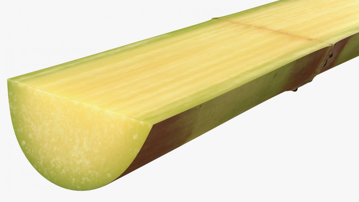 3D model Green Sugarcane Half Cut Piece